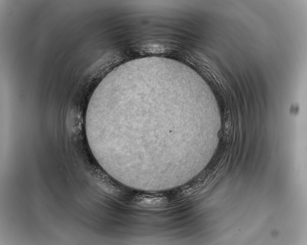 X0000099230555200805221838