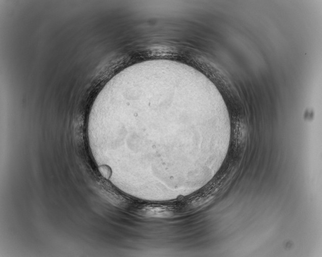 X0000099230557200805221838