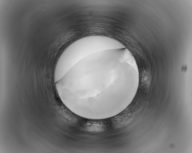 X0000099230559200805221838