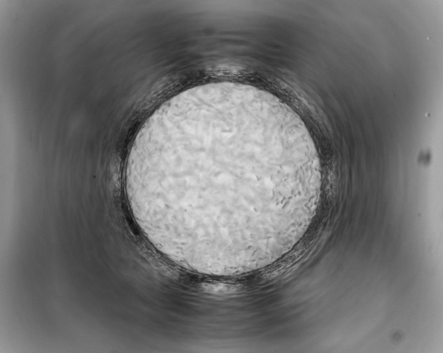 X0000099230561200805221839