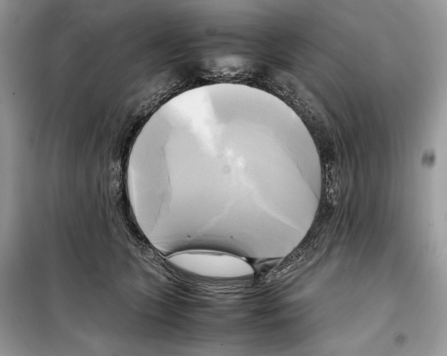 X0000099230563200805221839