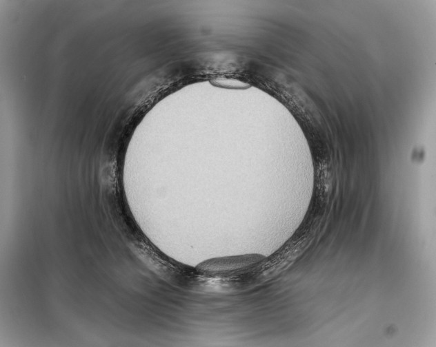 X0000099230564200805221839