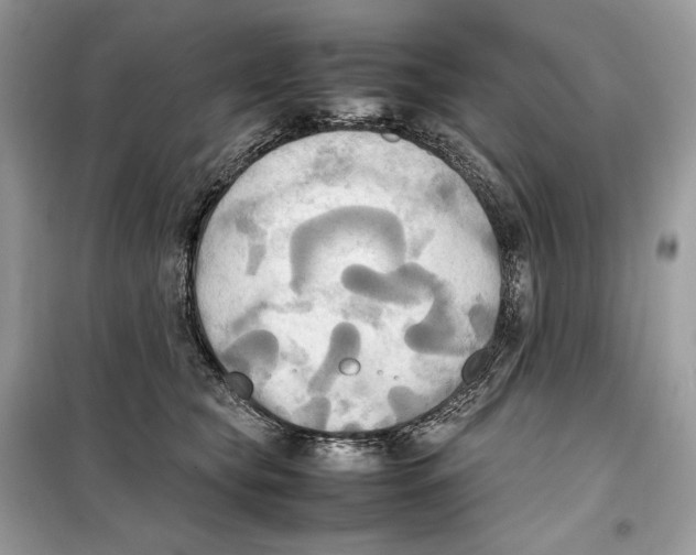 X0000099230565200805221839