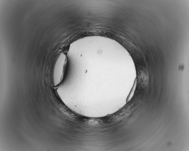 X0000099230566200805221839