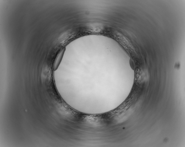 X0000099230568200805221839