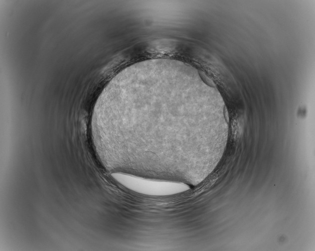 X0000099230570200805221839