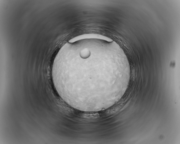 X0000099230571200805221839