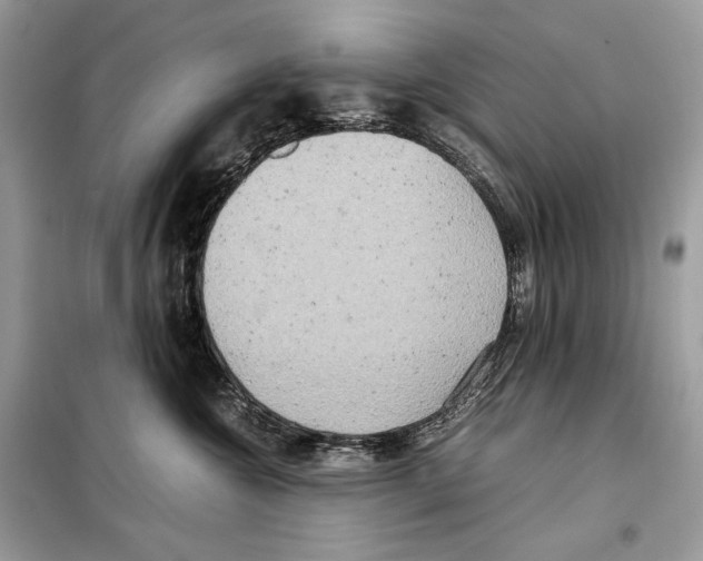 X0000099230572200805221839