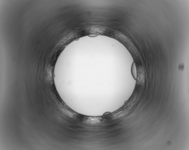 X0000099230573200805221839