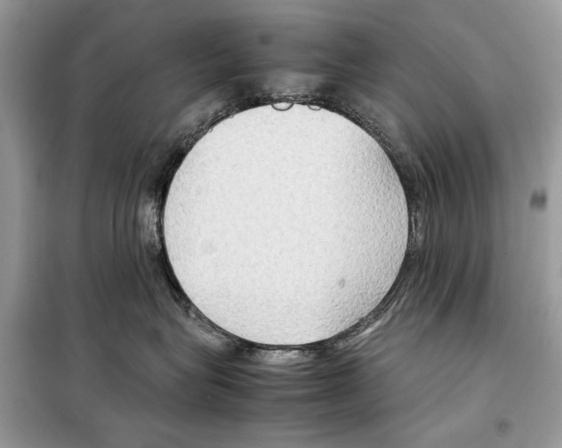 X0000099230575200805221839