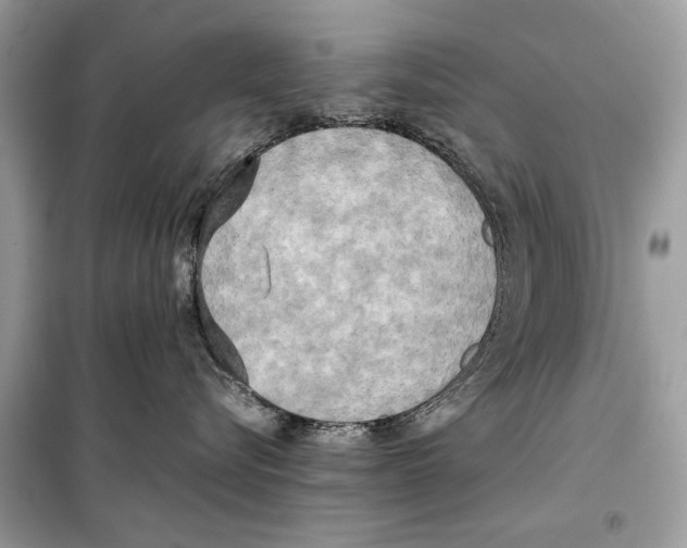 X0000099230576200805221839