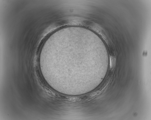 X0000099230579200805221838