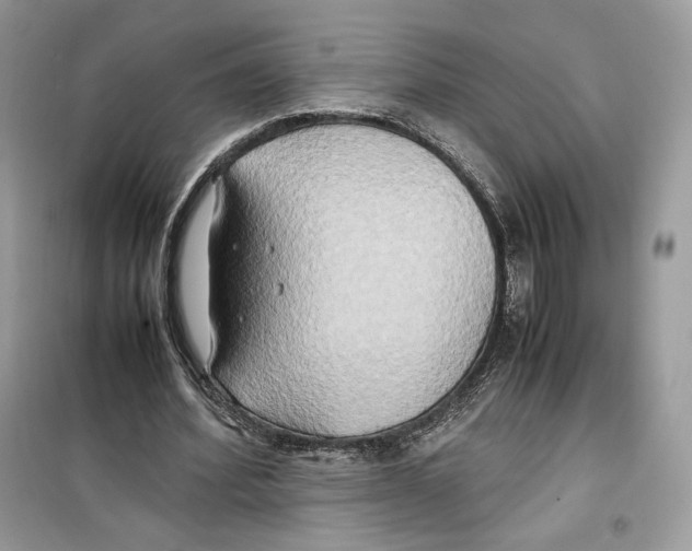 X0000099230580200805221838