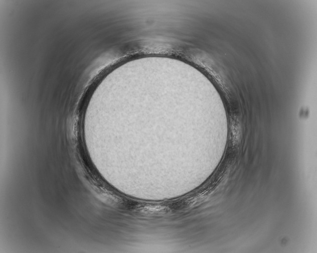 X0000099230583200805221838