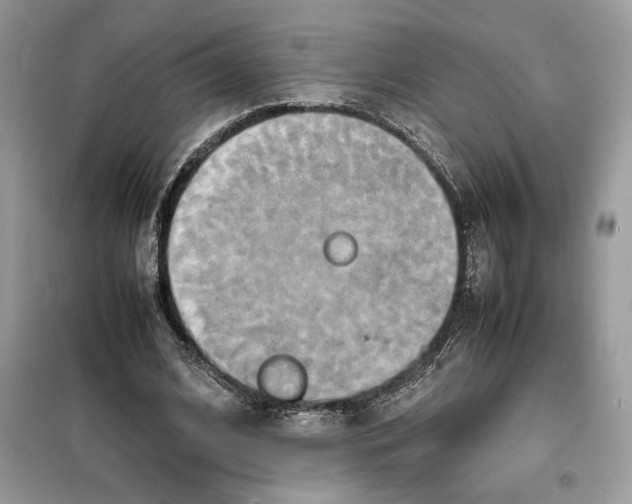 X0000099230584200805221838