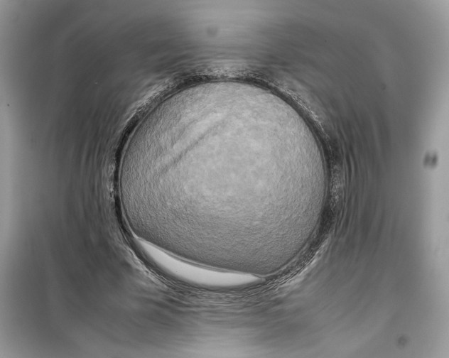 X0000099230585200805221838