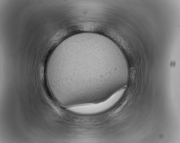 X0000099230589200805221838