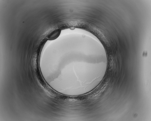 X0000099230590200805221838