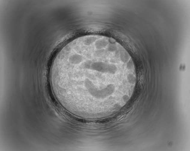 X0000099230591200805221838