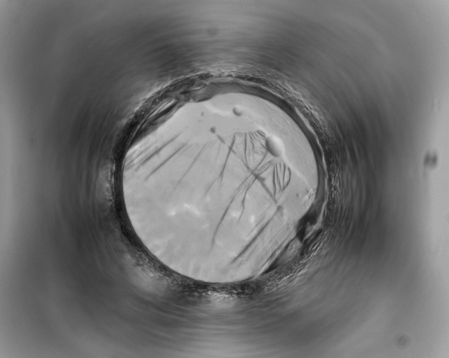 X0000099230592200805221838