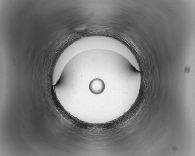 X0000099230593200805221838