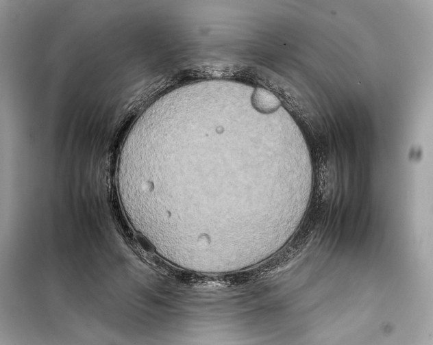 X0000099230594200805221838