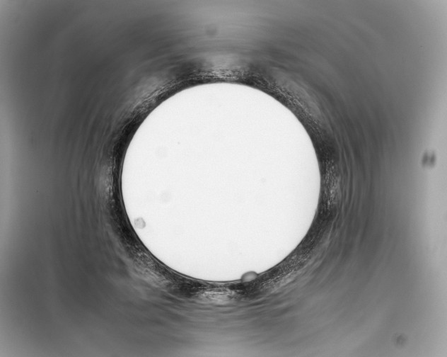 X0000099230595200805221838