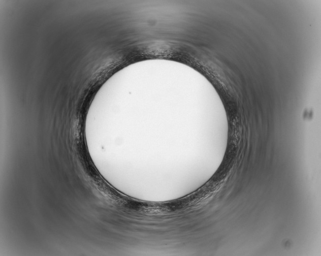 X0000099230597200805221838