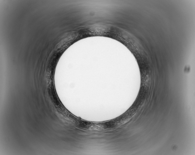 X0000099230599200805221838