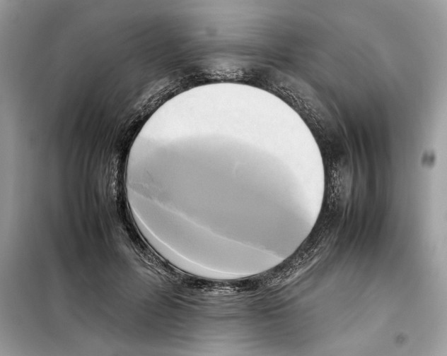 X0000099230600200805221838