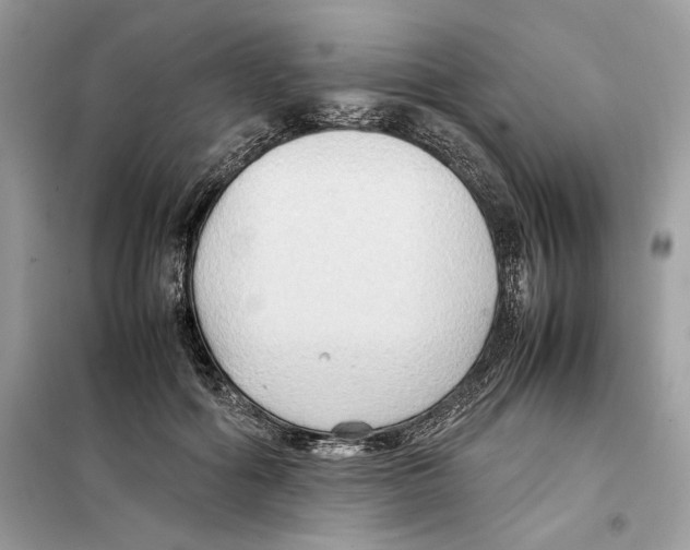 X0000099230602200805221838