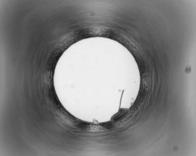 X0000099230605200805221838