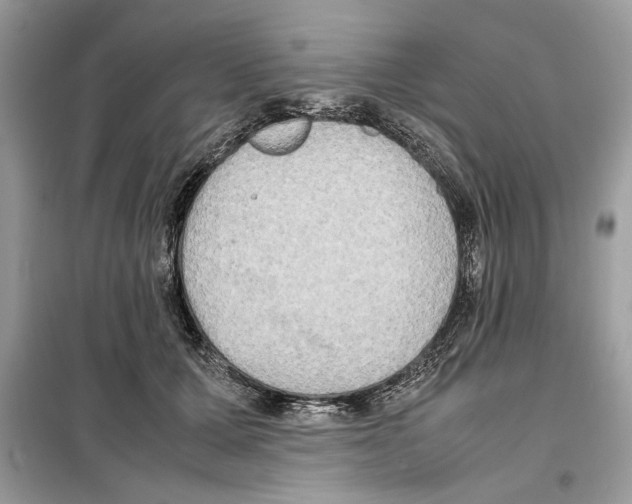 X0000099230607200805221838