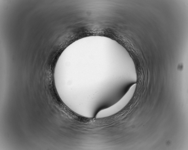 X0000099230609200805221838