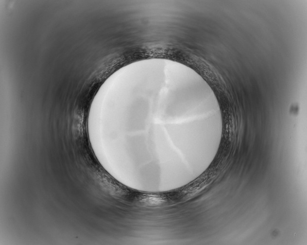 X0000099230610200805221838