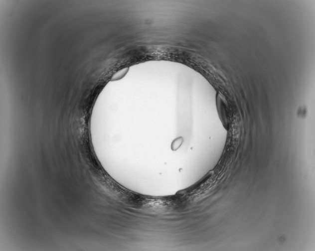 X0000099230611200805221838