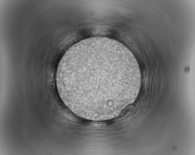 X0000099230619200805221838