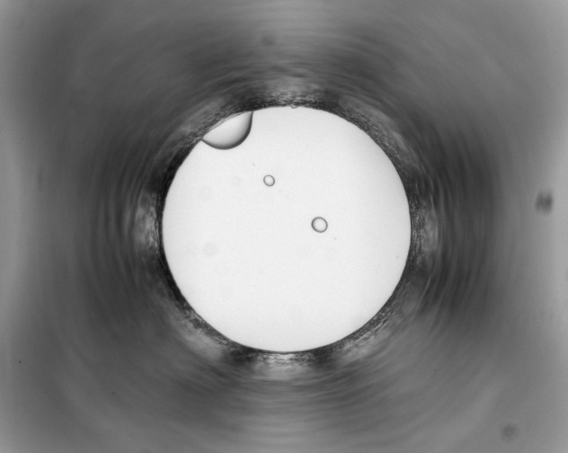 X0000099230622200805221837