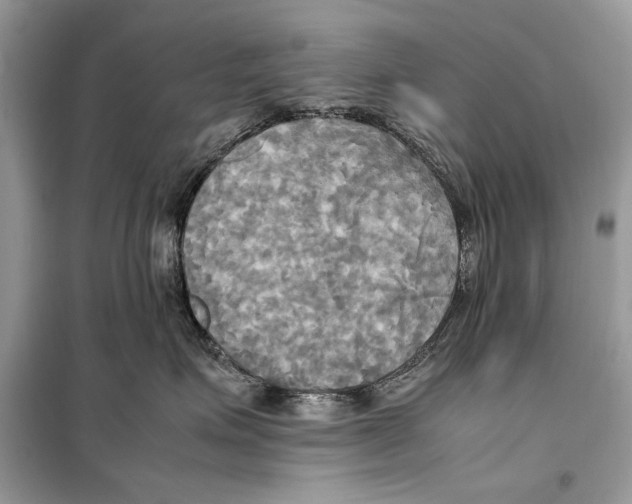 X0000099230623200805221837