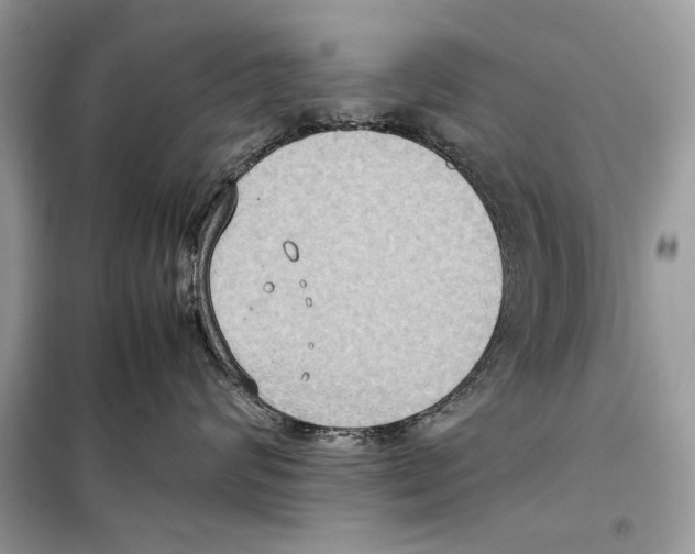 X0000099230624200805221837