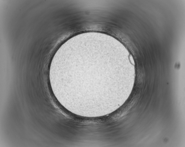 X0000099230625200805221837