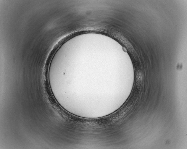 X0000099230628200805221837