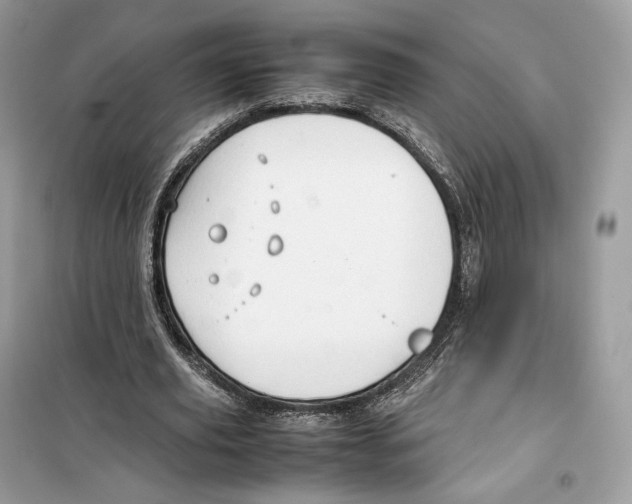 X0000099230629200805221837