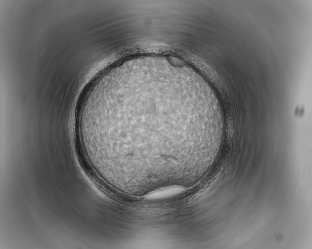 X0000099230630200805221837