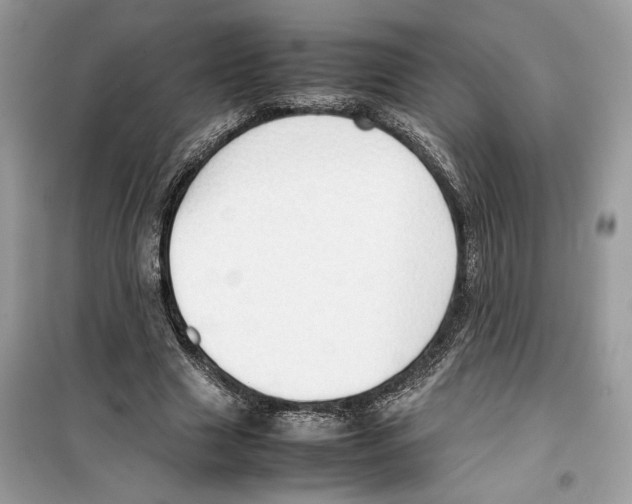 X0000099230633200805221837