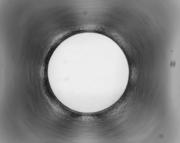 X0000099230636200805221837