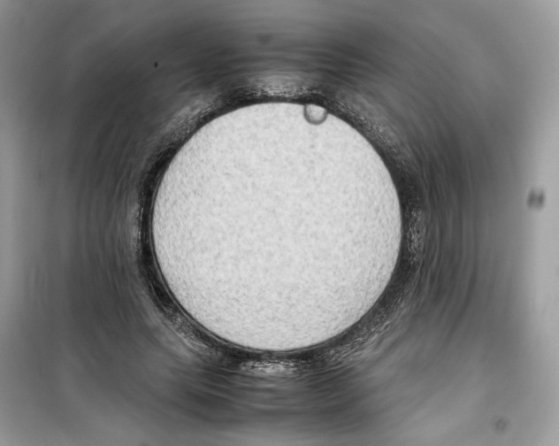 X0000099230639200805221837