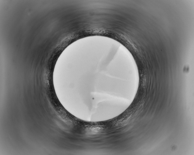 X0000099230643200805221837