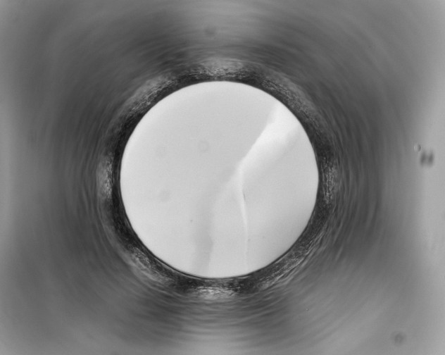 X0000099230644200805221837