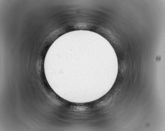 X0000099230645200805221837